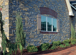 Veneer Stone