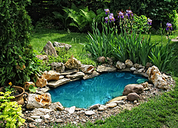 Ponds & Water Features